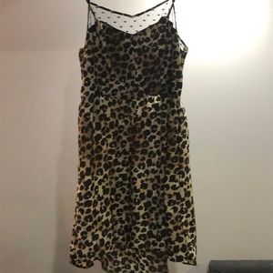 Leopard Dress